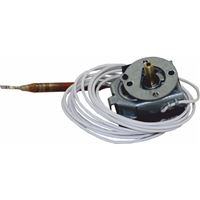 Termostat s 1